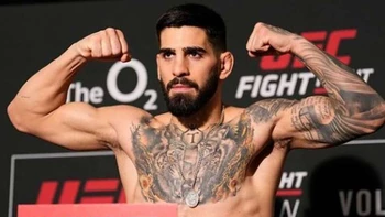 Un fan le pide a una estrella de la UFC que le dé un puñetazo Un fan le pide a una estrella de la UFC que le dé un puñetazo