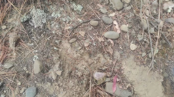 Aprehenden al autor confeso del feminicidio de la joven hallada en un barranco de La Paz Aprehenden al autor confeso del feminicidio de la joven hallada en un barranco de La Paz