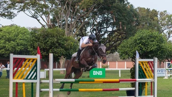 Éxito ecuestre: más de 90 binomios brillaron en el Concurso Departamental de Salto del SCIS Éxito ecuestre: más de 90 binomios brillaron en el Concurso Departamental de Salto del SCIS