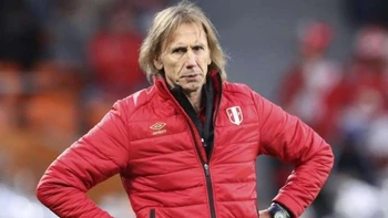 Gareca disconforme con nuevas normas sanitarias para estadios en Perú Gareca disconforme con nuevas normas sanitarias para estadios en Perú