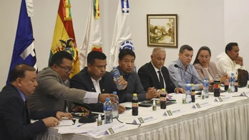 Se define cuántos torneos se jugarán en la División Profesional Se define cuántos torneos se jugarán en la División Profesional