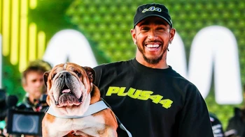 Roscoe, el inseparable bulldog de Hamilton, fallece y deja un vacío en la F1 Roscoe, el inseparable bulldog de Hamilton, fallece y deja un vacío en la F1