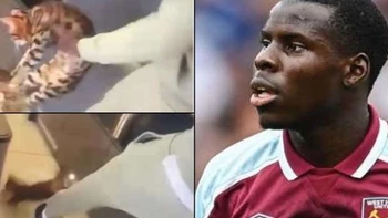 El futbolista Kurt Zouma se disculpa por vídeo golpeando a su gato El futbolista Kurt Zouma se disculpa por vídeo golpeando a su gato