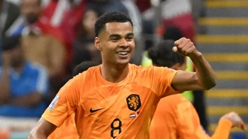 Países Bajos superó (2-0) a Qatar y pasó a octavos liderando el grupo A Países Bajos superó (2-0) a Qatar y pasó a octavos liderando el grupo A