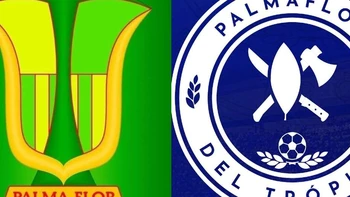 Se hacen llamar "Escuadra Azul": ¿Qué cambió en Palmaflor? Se hacen llamar "Escuadra Azul": ¿Qué cambió en Palmaflor?